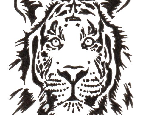 An illustration of a tiger's face.