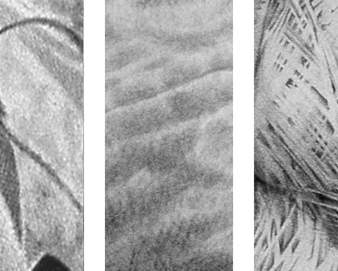 A triptych of pencil sketches showcasing shading techniques.