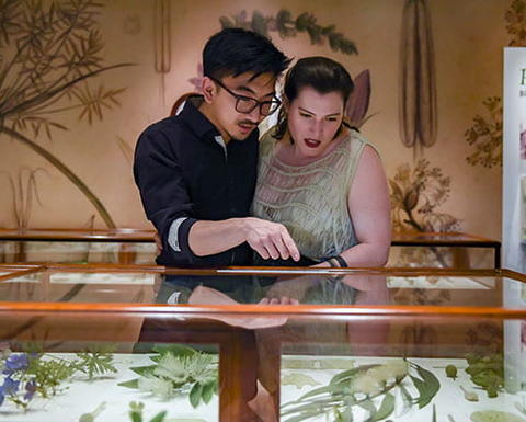 Two guests inspecting a case in the museum.