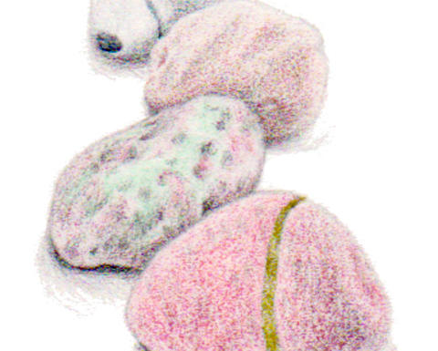 Illustration of four stones, demonstrating techniques of depth and shadow.