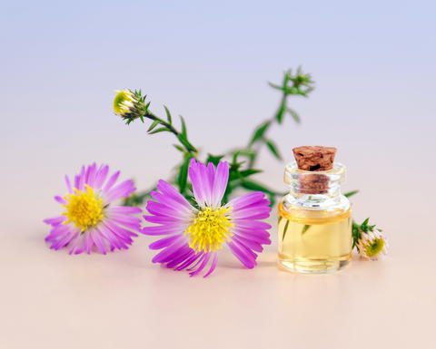 Flowers and a vial of cosmetic oil.